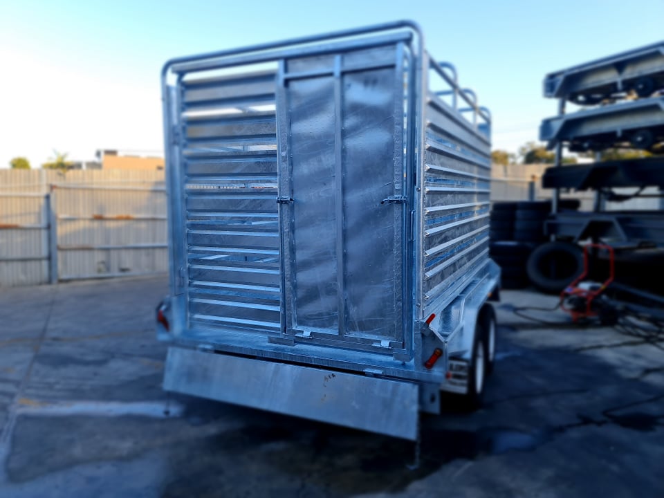 240513246_2832408900314902_2088459520027997358_n