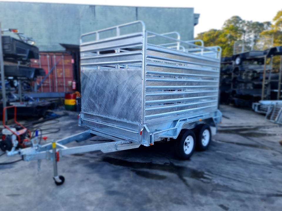 241072930_570297674401866_4664582371582754814_n